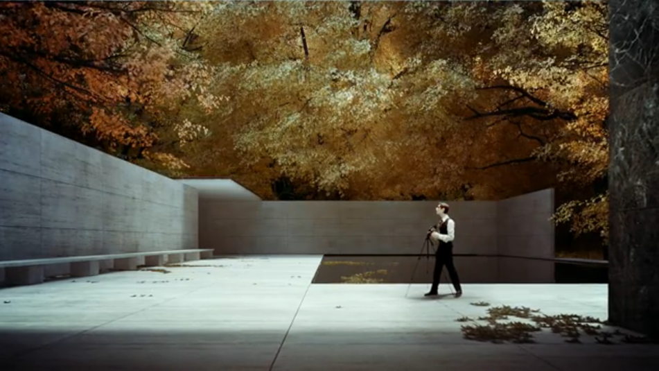 mies mies